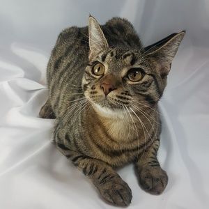 Meet your Posher, Jordan